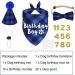 JOTFA Dog Birthday Party Supplies  Plaid Dog Birthday Boy Bandanas with Dog Birthday Party Hat Bow Tie Birthday Number for Small Medium Large Dogs Pets (Blue  Bandana & Hat & Bow Tie & Number) Bandana & Hat & Bow Tie & Number Blue - Buy Online on GoSupps.com