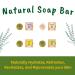 Organic Moringa Soap Bar for Gentle Body Wash | Improve Skin with Moringa Seed Oil | Acne-Fighting Hand Soap for Men & Women | Pack of 5 - Buy Online on GoSupps.com