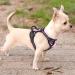 Rabbitgoo No-Pull Dog Harness for Small Dogs - Adjustable & Breathable with Reflective Stripes - Safe Control Breast Harness for Large Dogs - Pink XS (1 Pack) - Buy Online on GoSupps.com