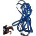 Halter for Horse | Safety Halter Chin & Throat Snap Heavy Duty Tied Halter Colorful Padded Nylon Size Horse Care for Horse Grooming Training Pochy Blue - Buy Online on GoSupps.com