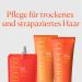 Pom lo+Co. Peach Trio: Moisturizing Vegan Hair Care Set - Shampoo Conditioner & Haarmask for Dry Hair - Buy Online on GoSupps.com