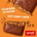 Good! Vegan Protein Bars - Chocolate Peanut Butter (Gluten-Free) | Plant Based & High Protein Meal Replacement Bar with 15g Protein - Kosher & Non Dairy - Buy Online on GoSupps.com
