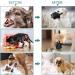 Soft Nylon Adjustable Dog Muzzle | Anti-Biting & Bark Control | Breathable Mesh Design | Suitable for Small, Medium, Large Dogs | 4 Colors & Sizes | Medium Black - Buy Online on GoSupps.com