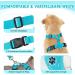 Buy Slowton Dog Harness with Seat Belt Breathable & Secure Car Safety for Dogs - Light Blue Medium - International Shipping Available - Buy Online on GoSupps.com