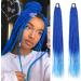 Bun Hair Pieces for Women 24 Inch Braided Ponytail Multicolor Braid Extensions Rainbow Braided Hair Extensions Synthetic Wigs with Elastic Bands Messy Bun Hair Piece (Color : 1B-530 Size : 24inch) - Buy Online on GoSupps.com