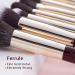 Jessup 20pcs Zinfandel T281 Makeup Brush Set - Professional Soft Natural Bristle for Foundation, Eyeshadow, Blush, and Concealer - Buy Online on GoSupps.com