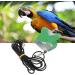 Bird Flight Harness Vest with Leash: Breathable Parrot Suit for Parakeets, Cockatiels, Conures, Budgies (Medium) - Buy Online on GoSupps.com