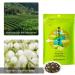 95G Jasmine Tea the Fragrance Is Better Mature and Full Household Drinking Tea Teeth Are Fragrant Suitable for Daily Work and Gifts for Family and Friends - Buy Online on GoSupps.com