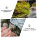 VILLCASE 4 Pcs Ant Water Feeder Mini Water Dispenser Ant Drinking Tools Ant Water Drinking Bowl Pet Ant Nest 4x4cmx2pcs Transparent Colorx2pcs - Buy Online on GoSupps.com