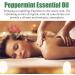 Massage Oil Mint Relaxation Oil with Peppermint for All Skin Types | Perfect for Couples & International Shipping - Buy Online on GoSupps.com