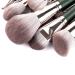 14-Piece Green Makeup Brush Set | Loose Powder Highlighter Eyeshadow Foundation & Contour Brushes - International Shipping Available - Buy Online on GoSupps.com