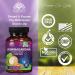 Organic Ashwagandha Capsules - Extra Strength Stress & Immune Support - 60 Count (Pack of 1) - Buy Online on GoSupps.com