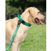 Joytale Tactical Dog Collar for Large Dogs | Durable Dog Collar with Handle & QR Code Tag - Turquoise - International Shipping Available - Buy Online on GoSupps.com