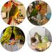 Bird Mirror Universal Birdcage Hanging Toy Bird Toy Swing with Bird Stand Rope Perch for Parrot Parakeet Cockatiels Cockatoo Budgie Finch (6.97 Inch) - Buy Online on GoSupps.com