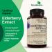 FutureBiotics Elderberry Extract 500 mg | 60 Organic Vegetarian Tablets for Immune Support - Buy Online on GoSupps.com