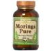 Only Natural Moringa Pure - 1000 mg - 90 Vegetarian Capsules (4-Pack)