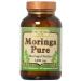 Only Natural Moringa Pure - 1000 mg - 90 Vegetarian Capsules (4-Pack)