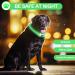 Shop Luminaire LED Dog Collar - USB Rechargeable Waterproof Adjustable | 3 Lighting Modes for Small & Medium Dogs & Cats - Green - Buy Online on GoSupps.com
