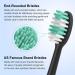 Everystep Replacement Toothbrush Heads 10 Pack for AquaSonic Electric Toothbrush - Black Series, Vibe Series, Duo Series pro - Black - Buy Online on GoSupps.com