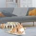 2pcs Folded Cat Tunnel Spring 10in Large Size Portable Cat Toy Spiral Tunnel with Synthetic Feather and Toy Mouse Tunnel Spring Outdoor Puppy Kitten Generic (Striped yellow Purple) - Buy Online on GoSupps.com