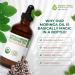 Organic Moringa Oil Bundle Cold Pressed Extra Virgin 100% Pure Food Grade 4oz Full Size + 1oz Travel Bottle Deep Moisturizing Anti-Aging Multi-Purpose Skin & Hair Oil - Buy Online on GoSupps.com
