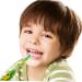 2 Sets Baby Electric Sonic Toothbrush - Safe Kids & Toddler Dental Care | International Shipping - Buy Online on GoSupps.com