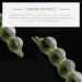 Rene Furterer VOLUMEA Volumizing Conditioner 5.07 oz - Fine Limp Hair, Thickening & Moisturizing - Buy Online on GoSupps.com