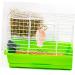 BESPORTBLE Pet Saline Practical Rabbit Salt Creative Rabbit Salt Pets Lick Salt Animals Lick Salt Nutrition Hamster Animals Salt Rabbit Salt Licking Pet Salt Blocks Licking Salt Blocks - Buy Online on GoSupps.com