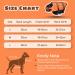 Nobleza Adjustable Dog Life Vest - Reflective & Buoyant Small Dog Swimming Jacket with Rescue Handle (Orange) - Buy Online on GoSupps.com