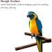 4-Piece Natural Wood Bird Stand Set - Ideal for Budgies Canaries and Nymphic - Premium Bird Accessories for Cage - Buy Online on GoSupps.com
