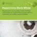 Mimea Peppercorns Black Whole | 1kg | Quality Ingredients | Natural | No Additives | Grinder Refill | For Cooking & Pickling - Buy Online on GoSupps.com