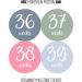 Pregnancy Weekly Belly Growth Stickers - Maternity Keepsake - Set of 36 Week by Week Pregnancy Photo Props - Buy Online on GoSupps.com