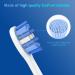 Sonicare Replacement Heads Compatible with Philips Sonicare - ForC2 ForC1 ForC3 Electric Toothbrush Brush Heads - Click-on/Snap-on KD-D1 - Buy Online on GoSupps.com