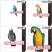 PARROT ESSENTIALS Textured Calcium Parrot Perch Sandpaper Perch Edible Calcium for Birds like Budgie Cockatiel African Grey Parrot and Budgie Mineral Block - 20 x 2.5 x 2.5 centimetres (Large) L (Pack of 1) - Buy Online on GoSupps.com