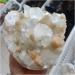 Natural Crystal Rough Crystal Cluster Natural Fisheye Symbiotic Ore Crystal Home Office Decor Gift Wealth (Size : 2.5-2.8kg) - Buy Online on GoSupps.com
