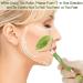 Buy Jade Roller & Gua Sha Facial Massager - 100% Natural Stone for Skin Healing Wrinkle Reduction & Serum Application | Shop Now - Buy Online on GoSupps.com