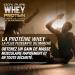 Whey Protein | Pure Protein with Collagen + Magnesium | Tones and Increases Muscle Mass | Protects Muscles and Aids Fibrous Tissue Recovery | 1000g Chocolate Protein - Buy Online on GoSupps.com
