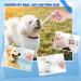 2 Piece Plastic Pet Pill Poppers Cat Pill Dispenser Dog Pill Dispenser Pill Popper for Cats Lightweight and Durable Dog Pill Popper Medical Tablet Feeding Tool Cat Pill for Dogs and Large Cats 2 Pcs white - Buy Online on GoSupps.com