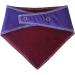 Spoilt Rotten Pets Purple Any Wording Of Your Choice Custom Dog Bandana Scarf For Dogs & Cats (S2 Small Dogs Terrier Shih-Tzu & Cockers) - Buy Online on GoSupps.com