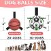 Hetoo Interactive Dog Toys - Basketball Tug-of-War Durable Balls & Puppy Gift for Small to Medium Dogs - Buy Online on GoSupps.com