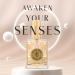 Shelley Kyle De Ma Mere Perfume 60 ml De Ma Mere 2.02 Fl Oz (Pack of 1) - Buy Online on GoSupps.com
