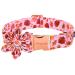 Aring Pet Autumn dog collar cute Thanksgiving-T rki-Hundehalband with flower cotton maple leaf rugby dog collar with metal buckle XS Blatt & Turkey