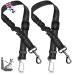 2 Dog Seat Belts For Cars UK - Dog Car Harness - Dog Seat Belt - Cats & Other Pets - Safety Harness With Adjustable Elastic Leads - Black