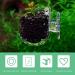 Vueinrg 8-Piece Aquarium Plant Pot Set - Decorative Glass Cups with Suction Cups for Shrimp Landscape Decor - Buy Online on GoSupps.com