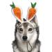 Midlee Carrot Bunny Ears Easter Dog Headband Costume (Small)