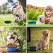 Vivifying 1000ml Foldable Dog Bowl - 2PCS Silicone Large Dog & Cat Feeding Bowls for Travel (Black & Blue) - Buy Online on GoSupps.com
