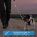 Premium Adjustable 2m Dog Leash - Reflective Weatherproof & Tearproof | Ideal for Small to Large Dogs (15kg+) | Durable Paracord Rehabilitation Line in White & Black - Buy Online on GoSupps.com