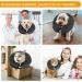 Inflatable Protective Collar for Dogs & Cats | Adjustable Velcro Recovery Ruff | Leak Protection After Surgery & Wounds - Buy Online on GoSupps.com