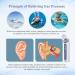Buy Ear Pressure Reliever | Unclog Eustachian Tubes | Relieve Discomfort from Flying & Diving | Purple | Ship Worldwide - Buy Online on GoSupps.com