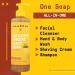 Alaffia Authentic African Black Soap - Tangerine Citrus 16 fl oz | Natural Skincare - Buy Online on GoSupps.com